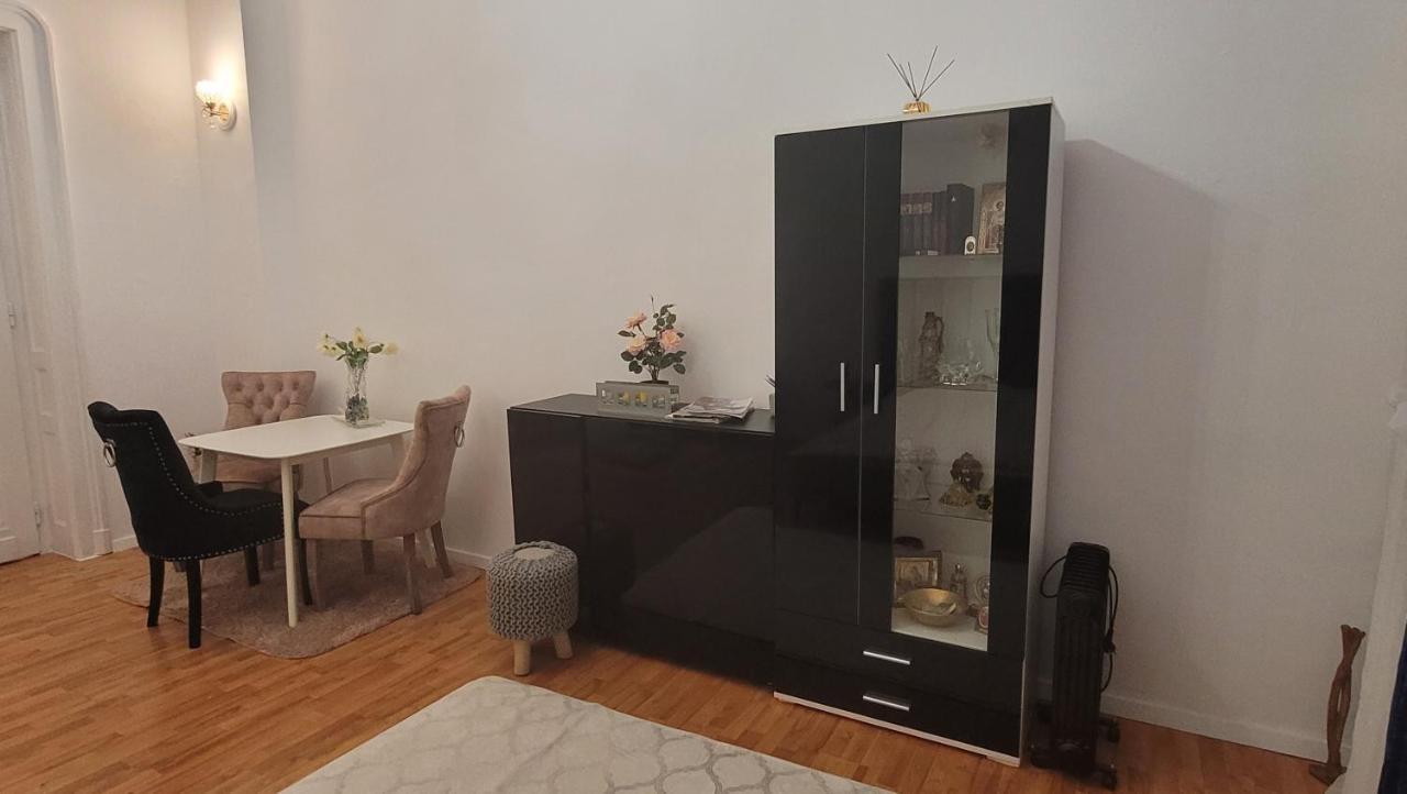 Opera Victoriei Residence - Ultracentral Cozy Accommodation Timişoara Eksteriør billede
